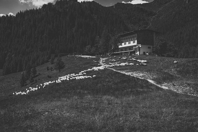 Mountains